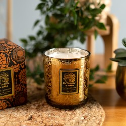 Bougie Aloe & Soft Lime | Ma Louloute